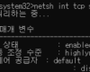 [게임스트리밍] Apollo, 네트워크 안정성 강화_옵션[4-1편]