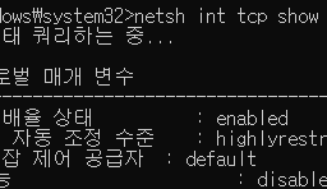 [게임스트리밍] Apollo, 네트워크 안정성 강화_옵션[4-1편]